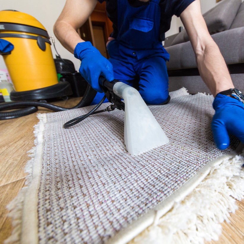 Carpet Cleaning