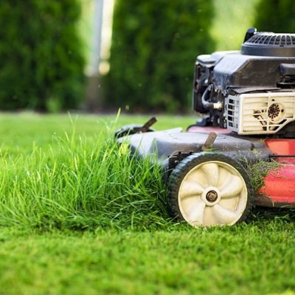 Lawn Mowing Services