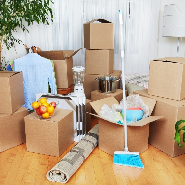 Move In/Out Cleaning